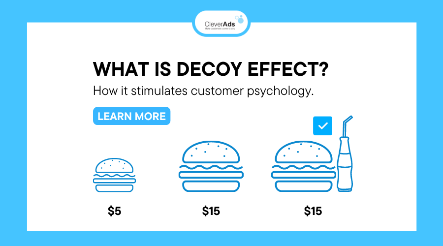 What is Decoy effect?